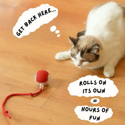 Furry Motor Ball: The Ultimate Interactive Pet Toy